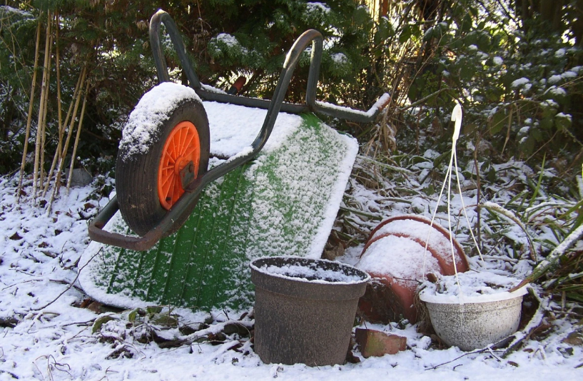 Winter on the allotment